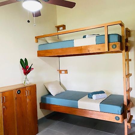 El Hostel Del Patio Tortuguero Eksteriør billede