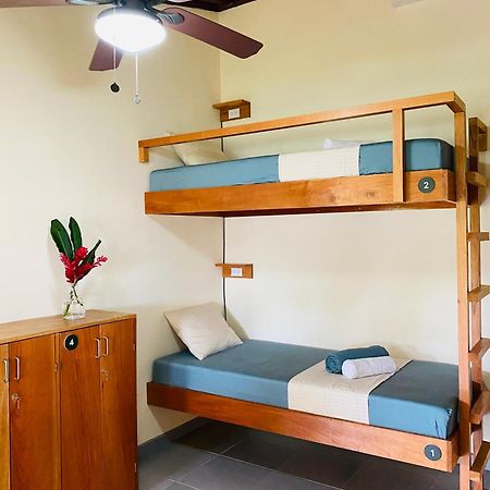 El Hostel Del Patio Tortuguero Eksteriør billede