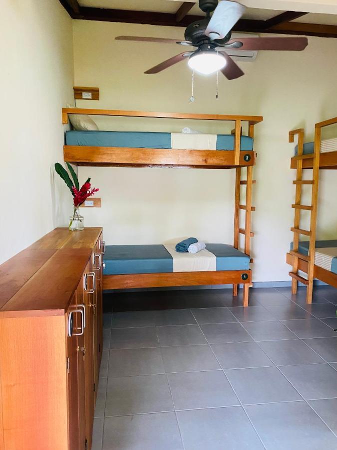 El Hostel Del Patio Tortuguero Eksteriør billede