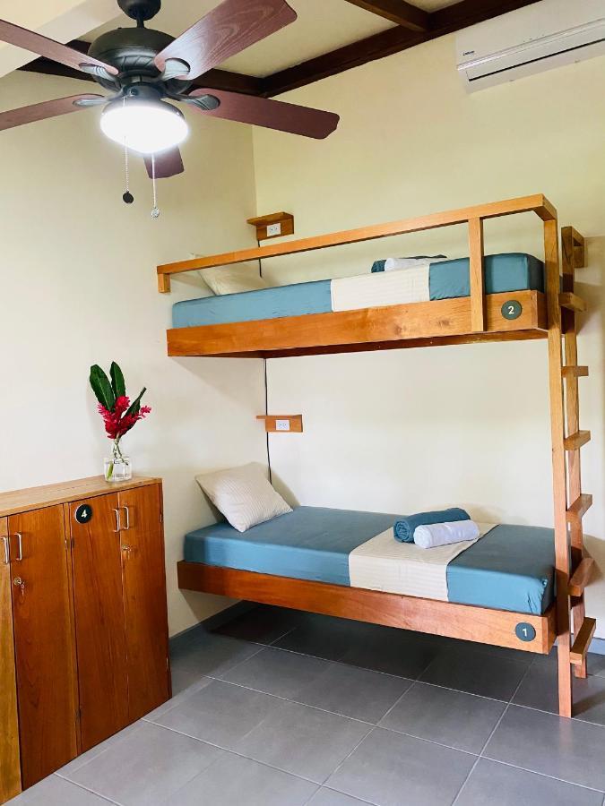 El Hostel Del Patio Tortuguero Eksteriør billede