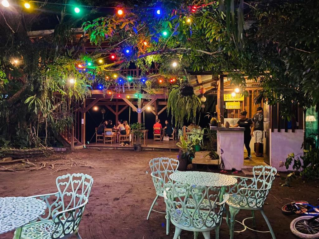 El Hostel Del Patio Tortuguero Eksteriør billede