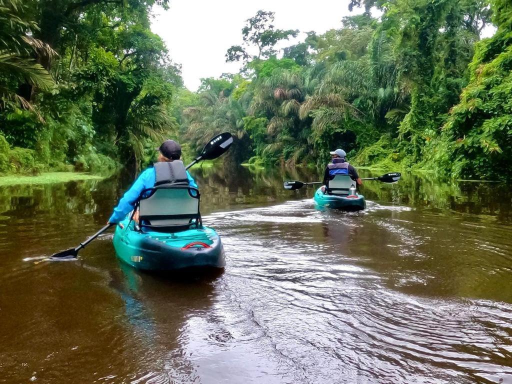 El Hostel Del Patio Tortuguero Eksteriør billede