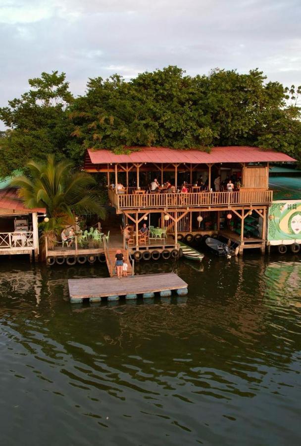 El Hostel Del Patio Tortuguero Eksteriør billede
