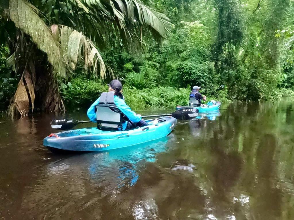 El Hostel Del Patio Tortuguero Eksteriør billede