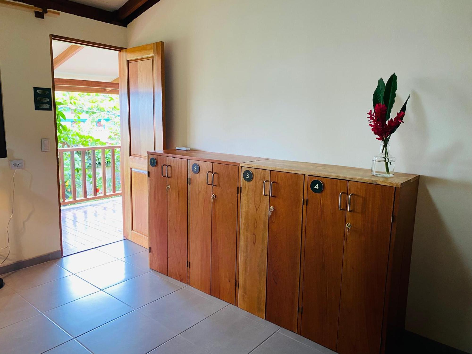El Hostel Del Patio Tortuguero Eksteriør billede
