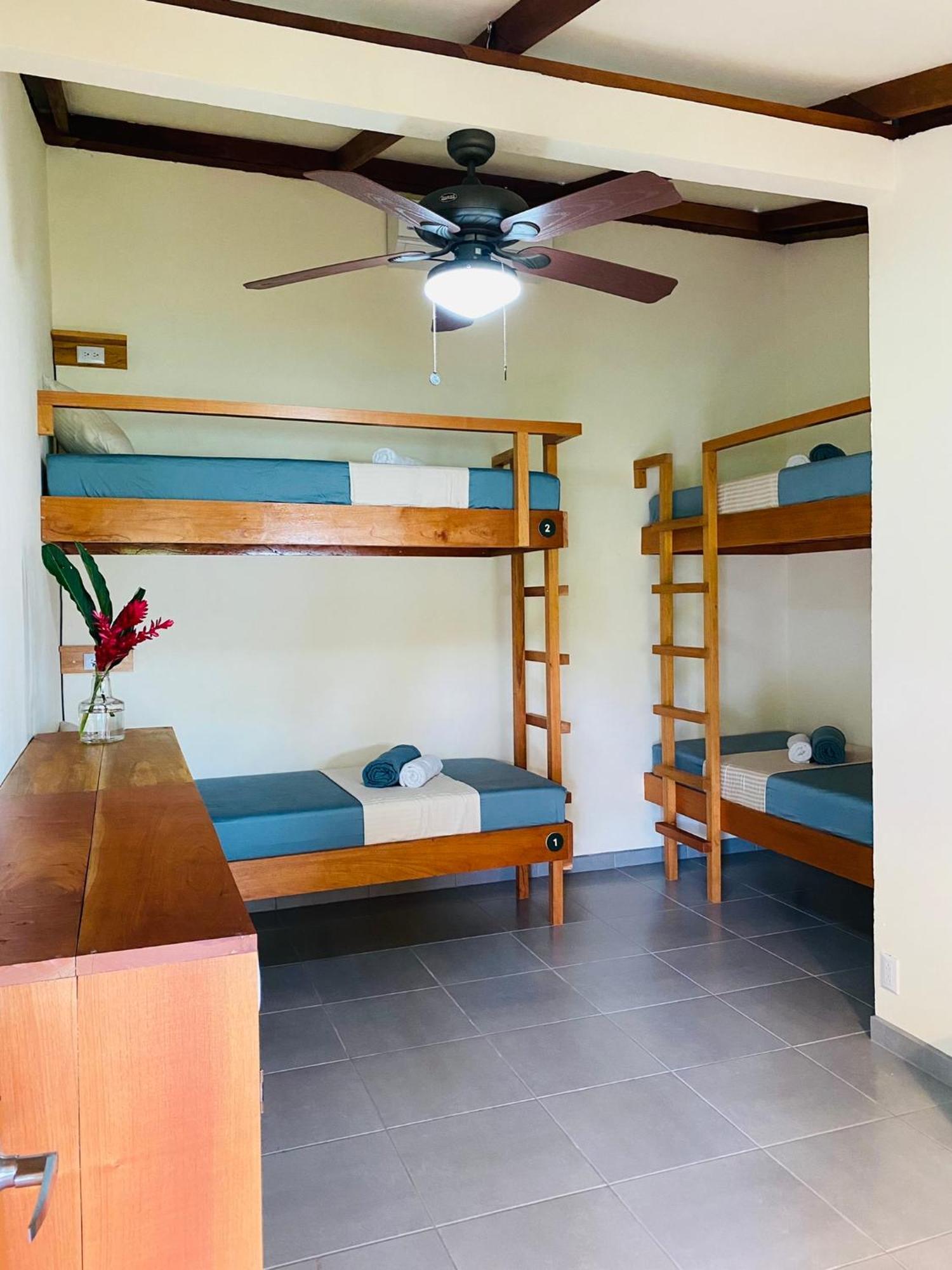 El Hostel Del Patio Tortuguero Eksteriør billede