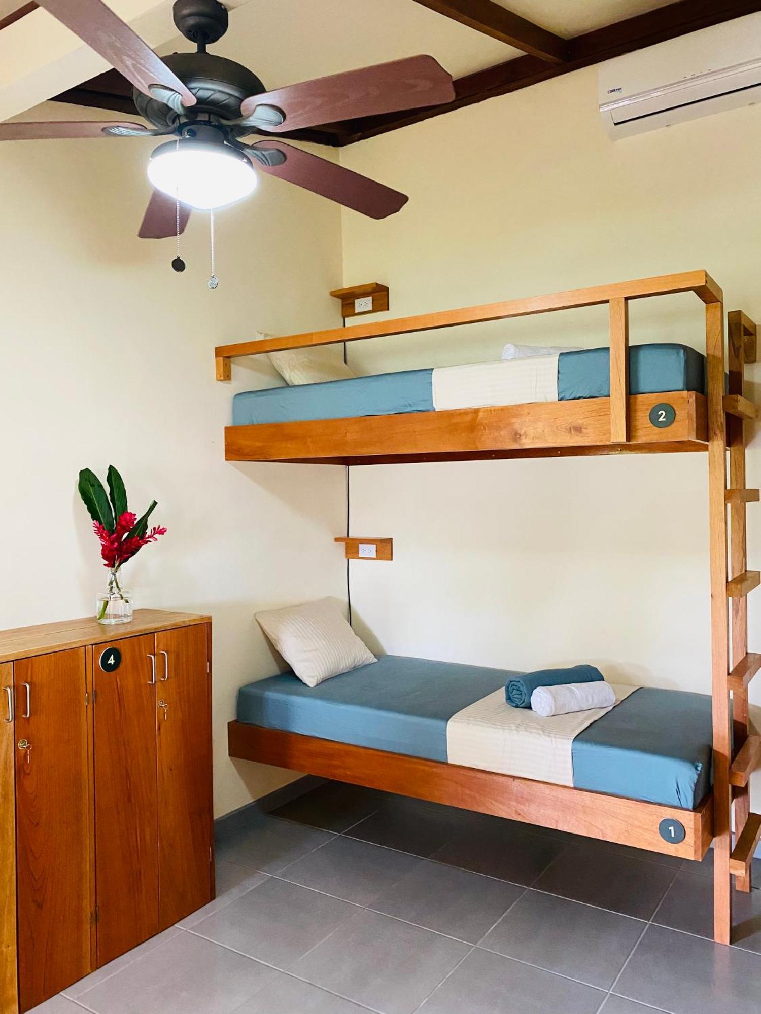 El Hostel Del Patio Tortuguero Eksteriør billede